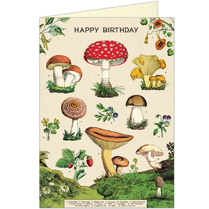 Card - Birthday Mushrooms